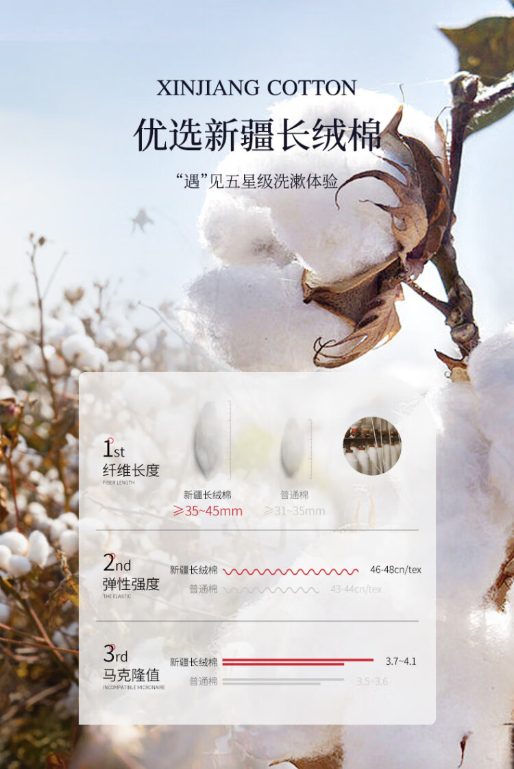 f72819eacb6f29bc.jpg