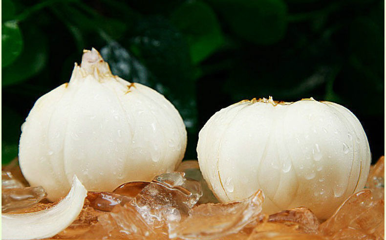 兰州新鲜百合农家自产甜百合生百合甘肃特产百合 一袋四颗试吃装(约