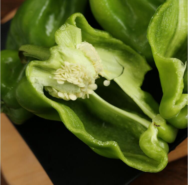 媚调青圆椒 (发顺丰)麻椒青椒薄皮柿子椒 皱皮辣椒 东北农家新鲜蔬菜