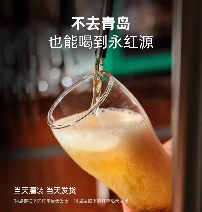 啤酒 啤酒 一朝春雪 山东青岛特产永红源1号精酿原浆拉格1.