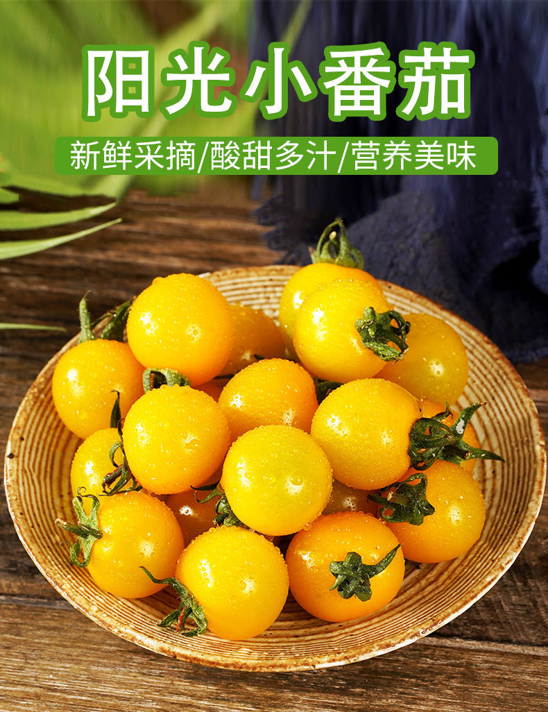 黄色圣女果新鲜夏日阳光樱玲珑小番茄水果甜桃小柿10斤子现摘小青瓜