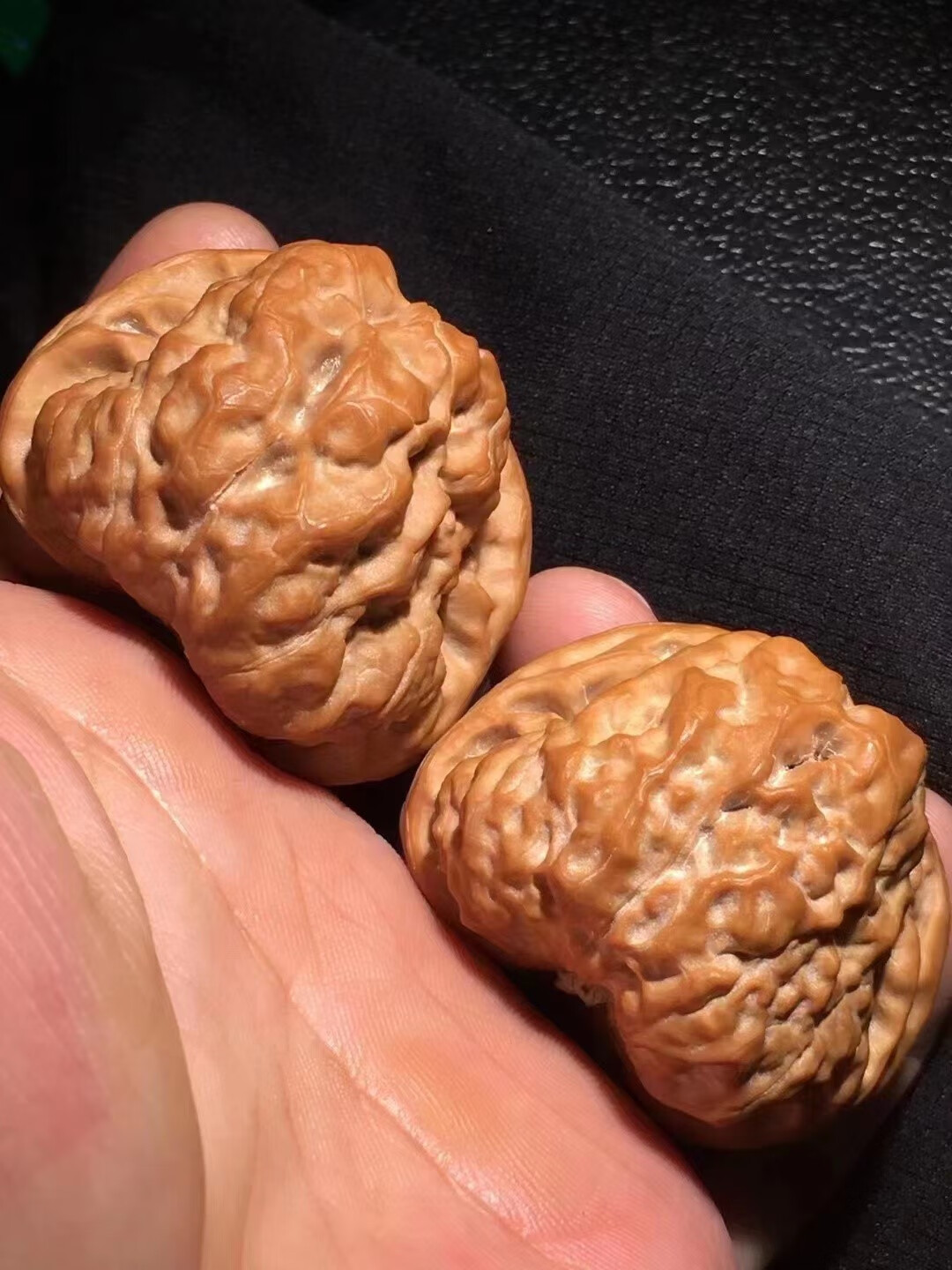 文玩核桃金蟾延庆蛤蟆头狮子头老树精品古玩手把玩盘玩特大收藏级 精