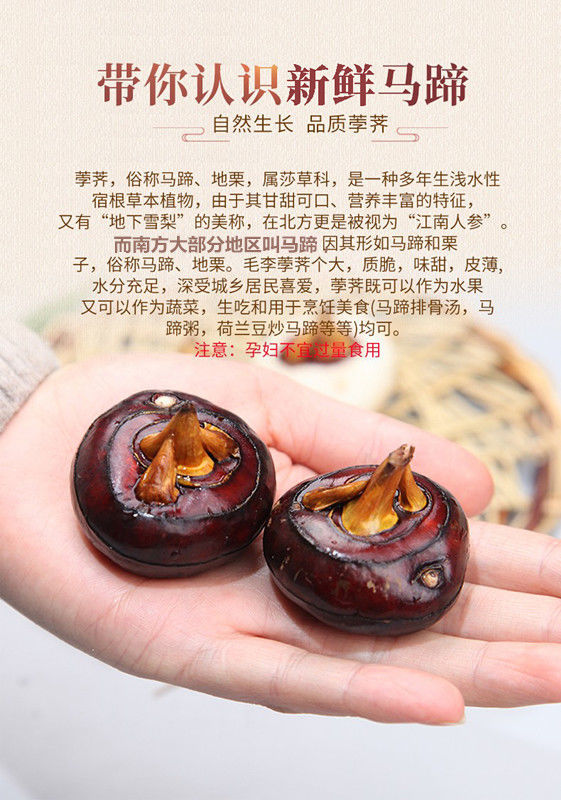 坏果包赔新鲜马蹄农家自产荸荠水果现挖135斤特大果五斤装