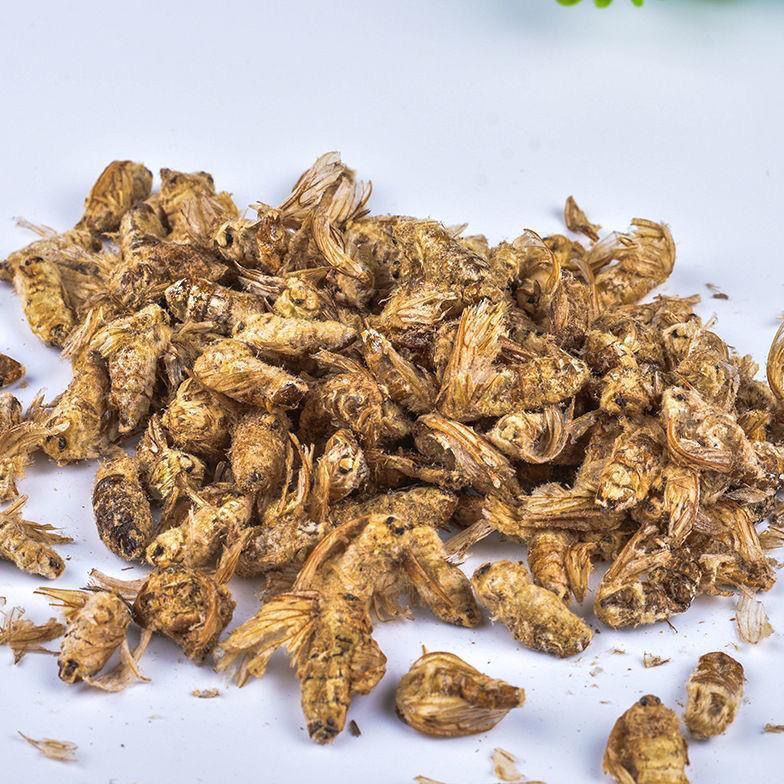 雄蚕蛾粉中 未交尾现磨蚕蛾粉雄蝉蛾晚蛾子粉 250克现磨雄蚕蛾粉半斤