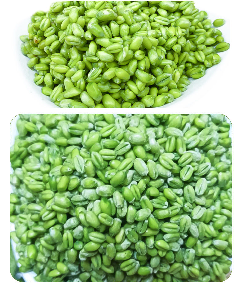 新鲜青麦仁速冻青麦粒青稞米粒脱皮青小麦五谷杂粮煮粥坏单包赔 2包