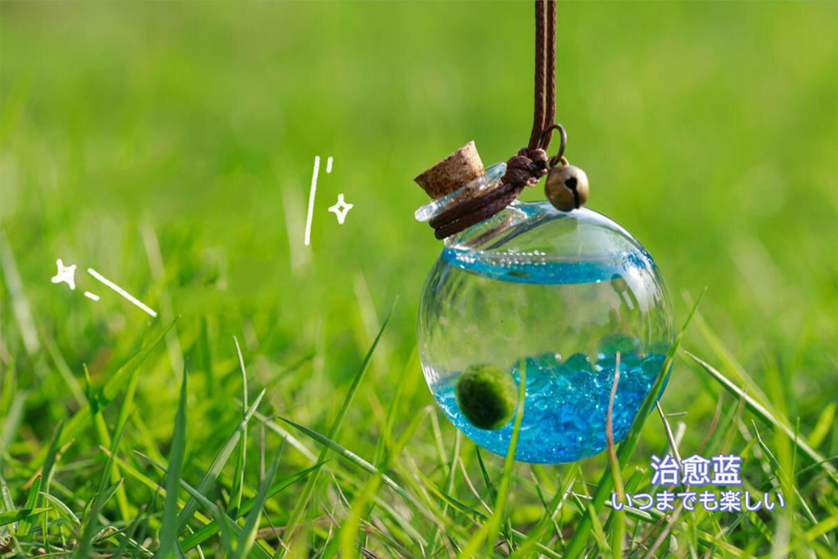 海藻球宠物marimo海藻球diy随身瓶水晶生态瓶海藻球微景观许愿瓶劲诚