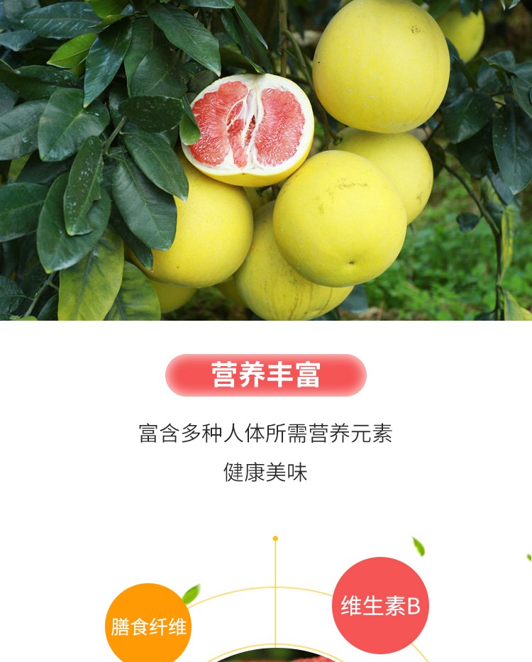 新鲜孕妇水果时令当季红肉蜜柚礼盒装团购送礼红心蜜柚910斤家庭装