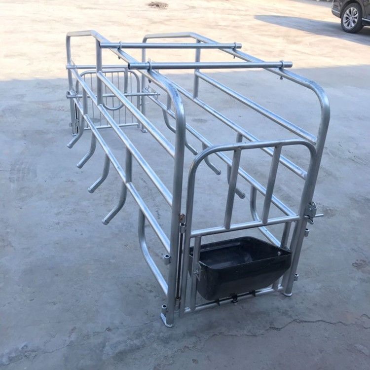 猪用产床母猪产床母猪简易式产床双猪产床养猪设备单体落地式产床 不