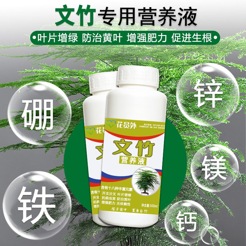 花员外文竹肥料专用营养液500ml文竹盆景防治黄叶增绿促长肥料水培