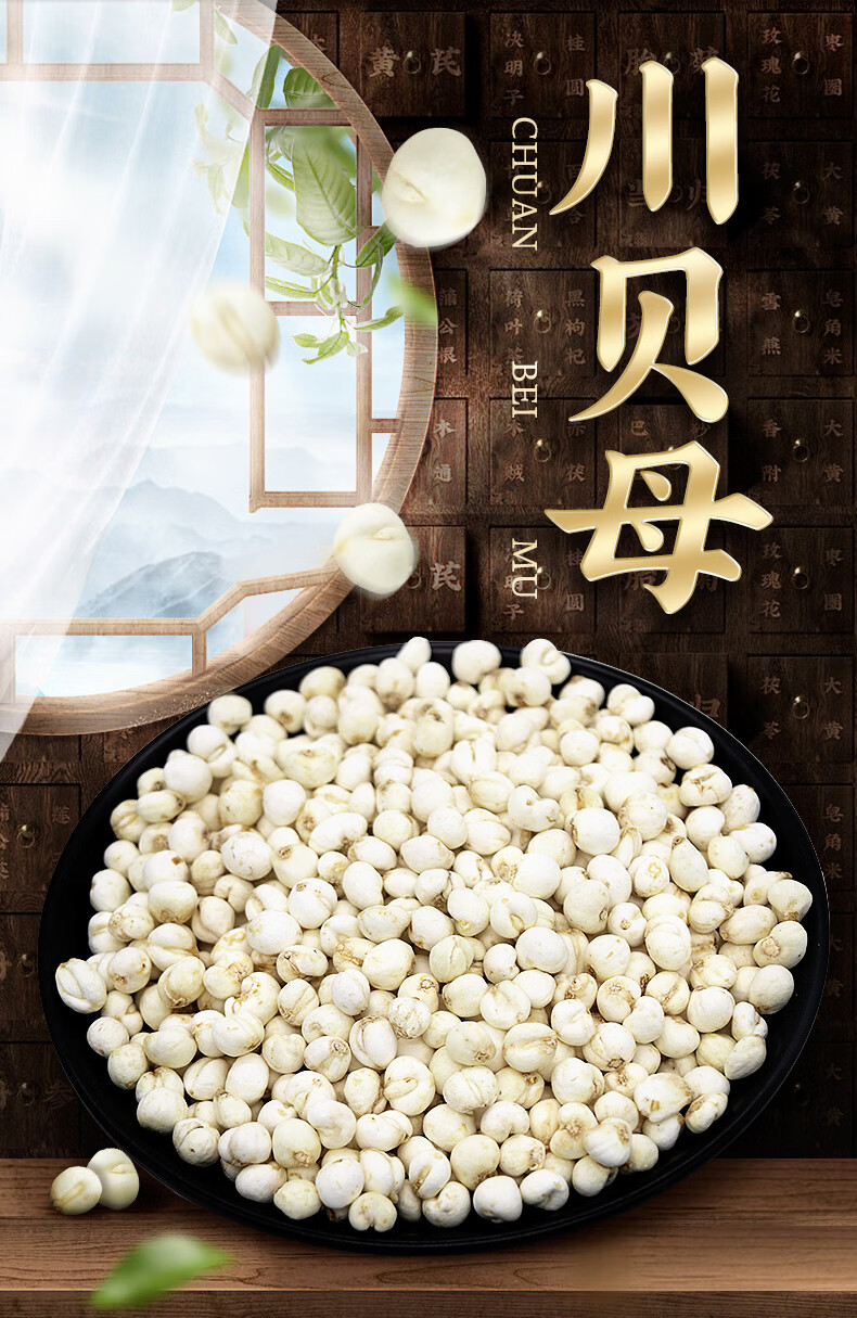 西藏川贝母川贝100g平贝松贝代打粉