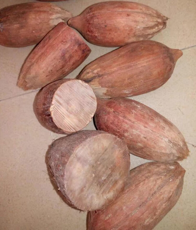 顶盈 原料 coke菩提子海椰子佛珠 手链念原材料 库克小果40-70克一个