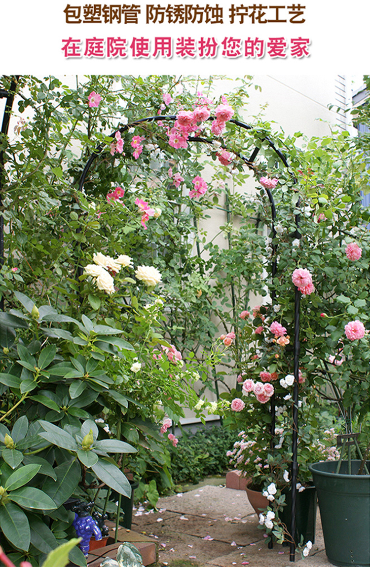 欧式鲜花拱门攀爬花架 铁线莲藤本花架 庭园爬藤架植物拱形花支架