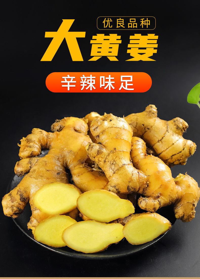 超大姜老姜鲜姜生姜姜母大黄姜月子姜批发3斤5斤姜大姜生鲜基地直发1