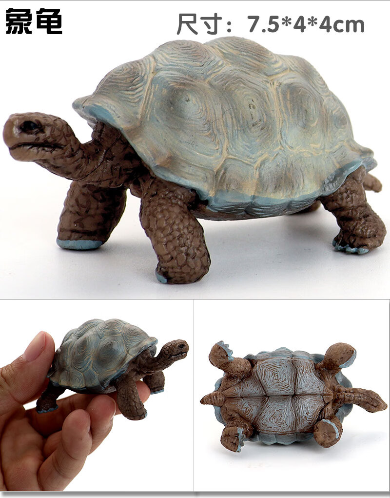 陆龟模型 仿真实心鳄龟乌龟模型玩具象陆龟海龟静态塑胶动物儿童认知