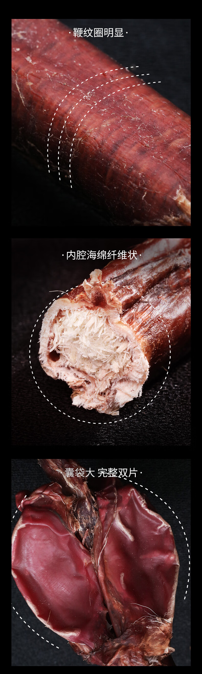 马鹿鞭整根60克礼盒男性补品泡酒料送鹿茸产自吉林梅花鹿乡