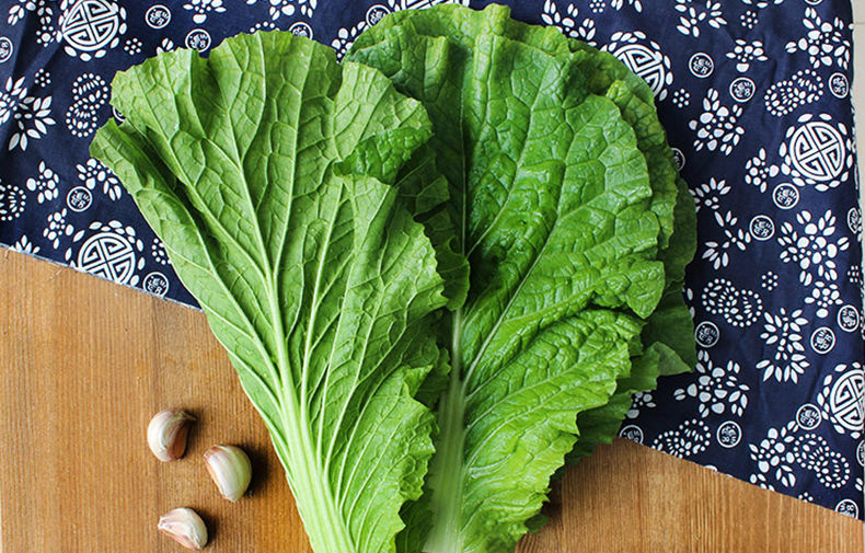 打饭包东北白菜叶子新鲜大白菜叶农家蔬菜包饭包菜叶子蘸酱菜现摘 10
