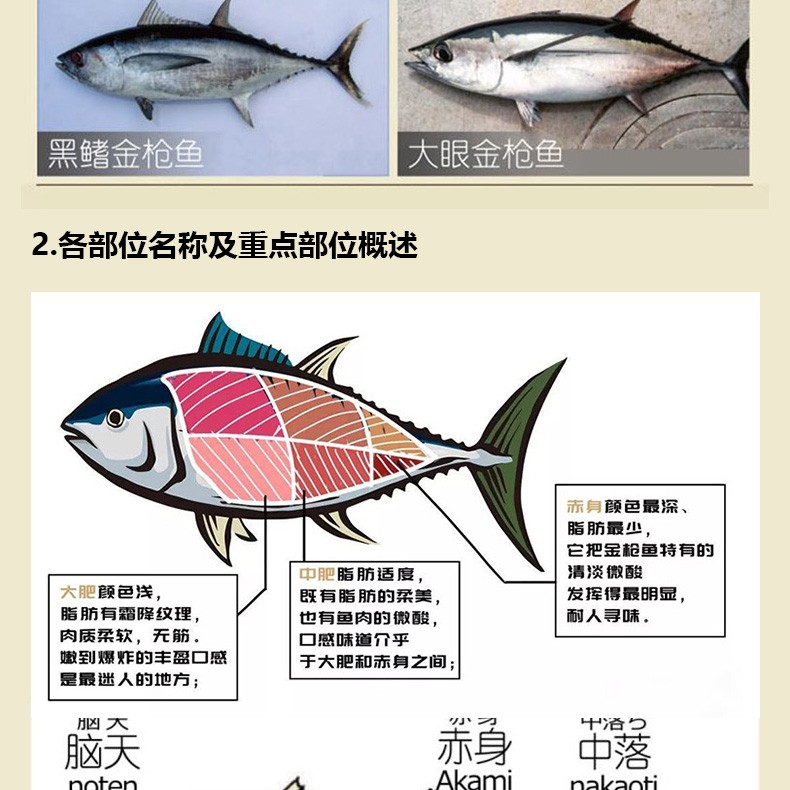 进口蓝鳍大脂金枪鱼刺身大腹大腩大肥蓝旗o Toro鱼腩寿司低脂生鲜生鱼片日料活冻霜降 0克 图片价格品牌报价 京东