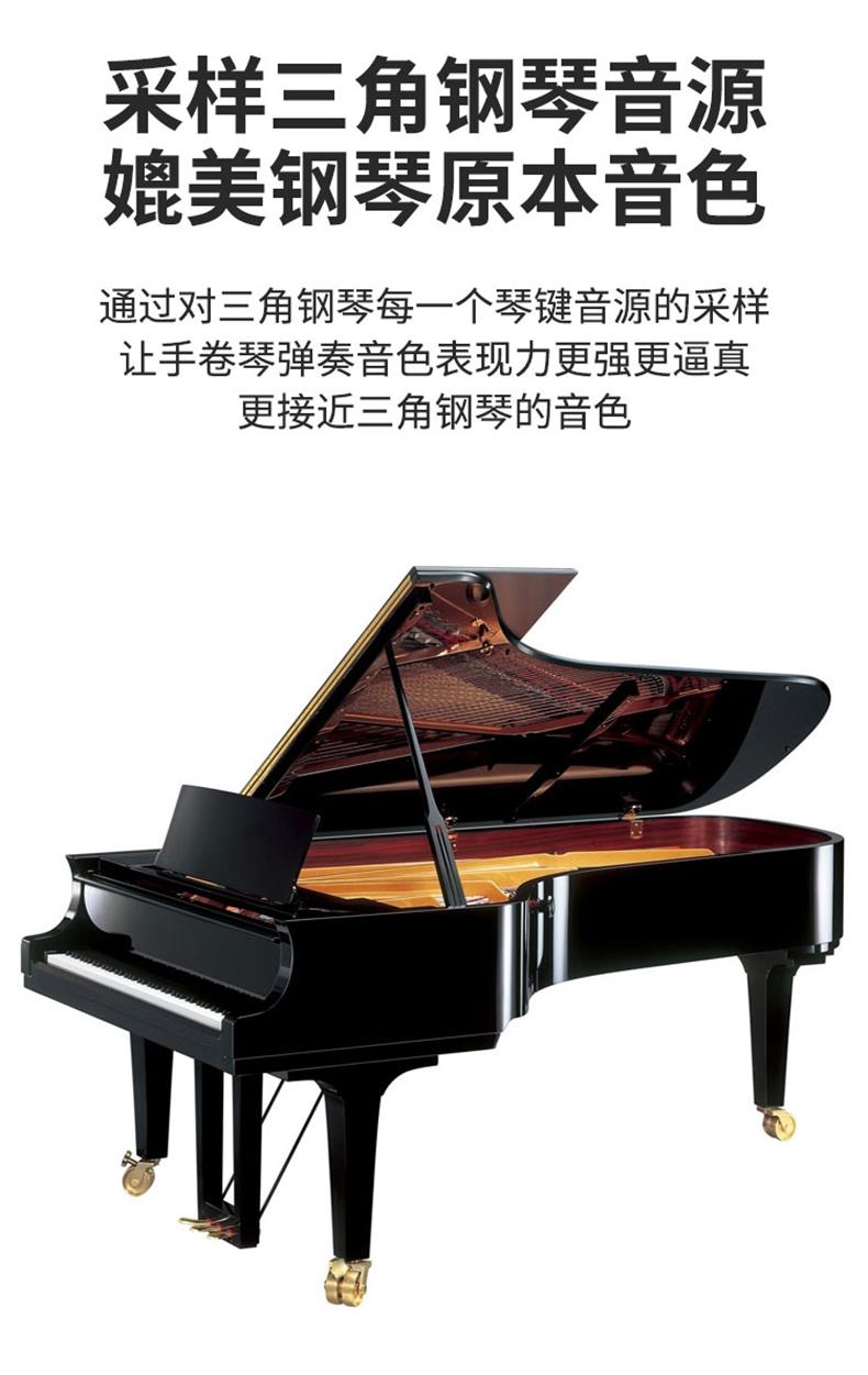 特伦斯便携式钢琴特伦斯pb88手卷钢琴键盘加厚版初学者练习便携式折叠