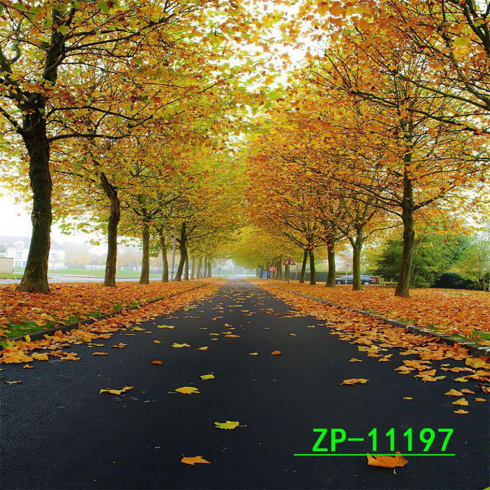 e02cda91-8145-44ba-833e-c3dd756ee80a.jpe