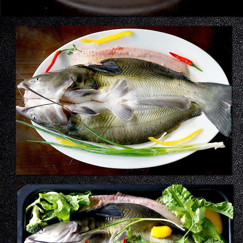 丰帆汇三去回鱼开背鱼烧烧食材淡水鱼 鱼类鱼回叉尾国产海鱼水产 600