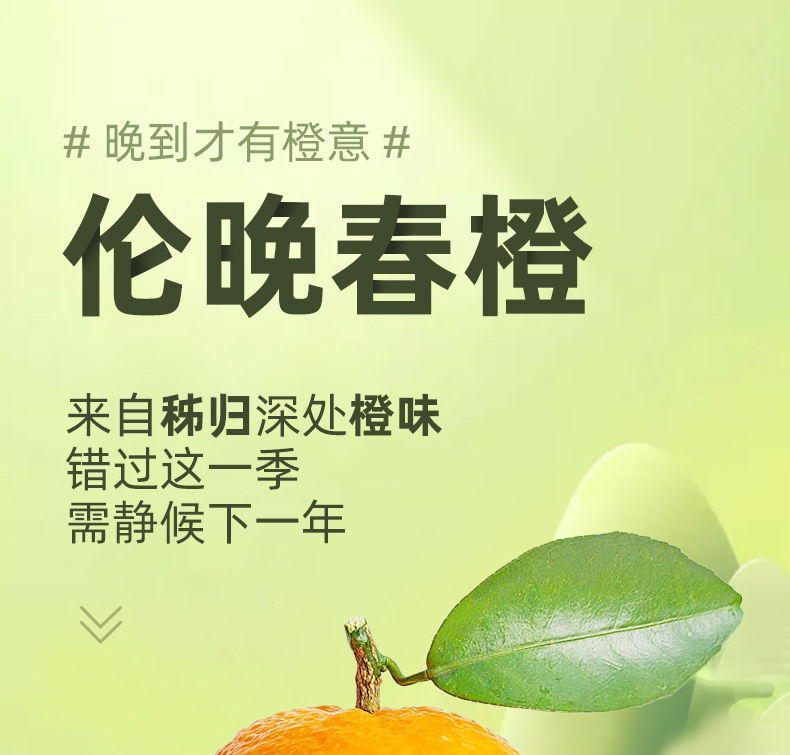 湖北秭归伦晚脐橙10斤新鲜手剥应当季大果甜橙子 5斤小果【净重5斤】