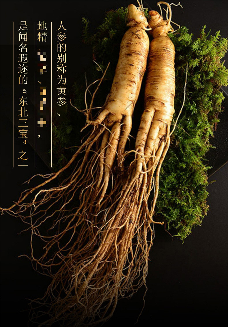 修正人参鹿鞭片牡蛎成人男性口服片修正鹿参精杞片 5瓶巩固装