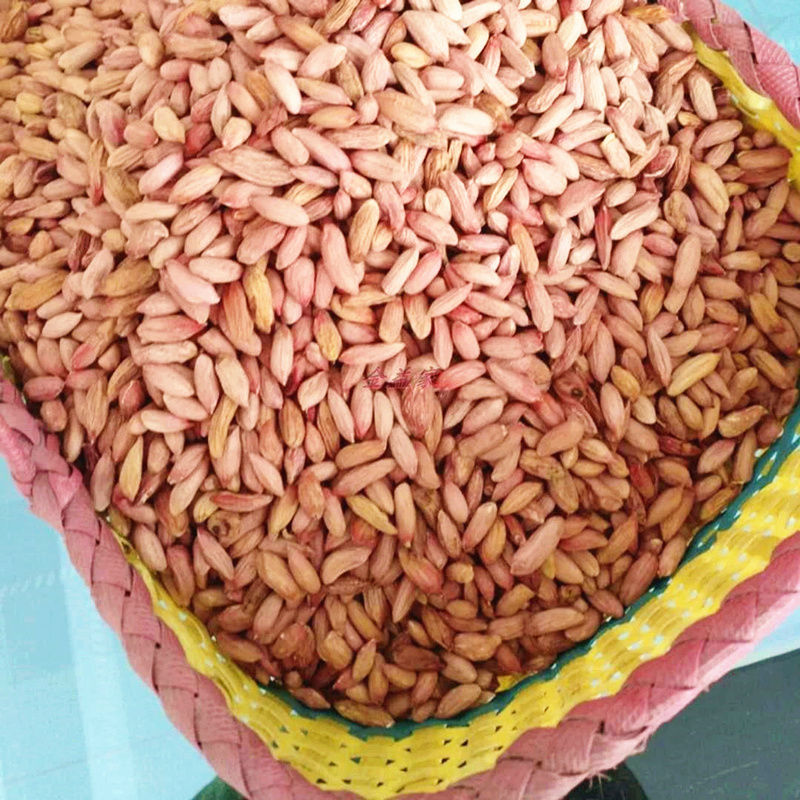 瘪花生20年山东鲁花无壳花生米干瘪花生米低油甘甜五斤精品瘪花生瘦长