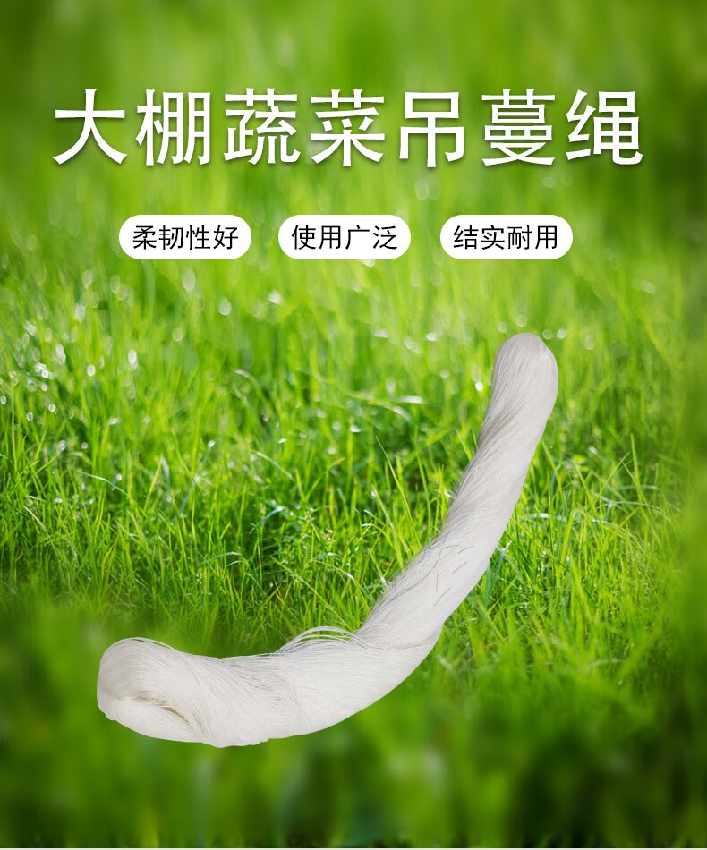 大棚防老化吊蔓绳吊秧绳用塑料绳黄瓜西红柿绑蔓蔬菜吊绳清晰绿色18股