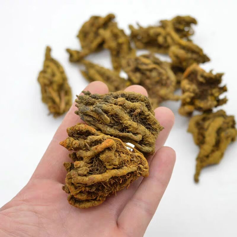 黄连黄连个黄连片鸡爪黄连四川黄连单支黄连品质保证黄连 鸡爪连250克