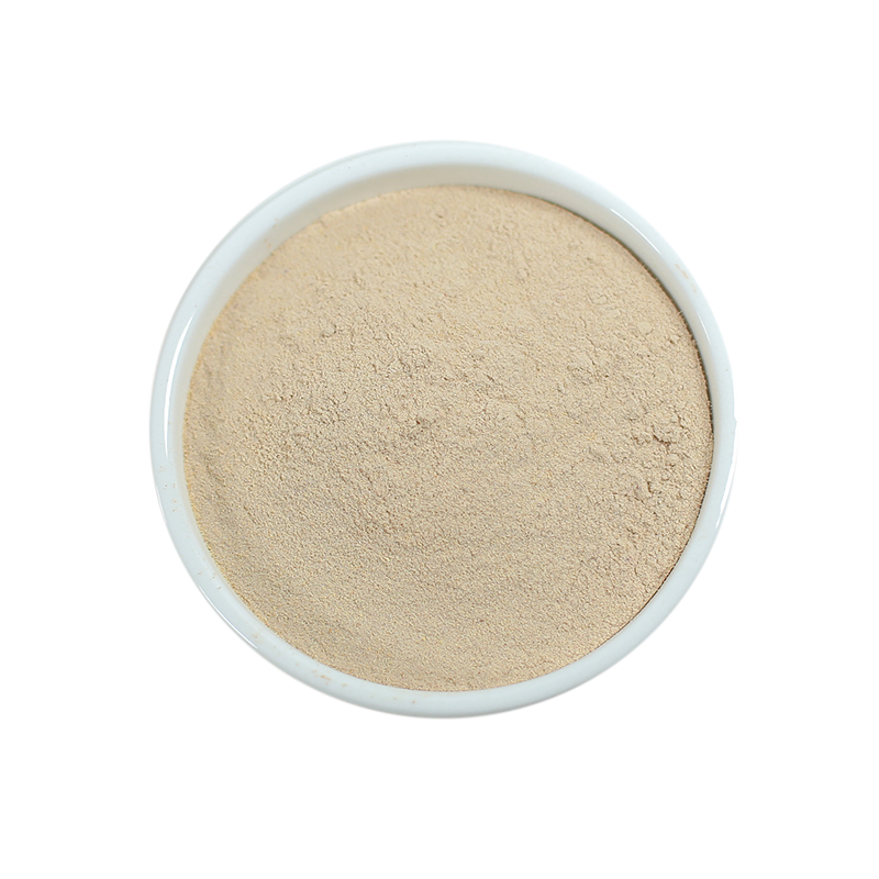 北京同仁堂黄芪粉500g甘肃岷县野生特级北芪片黄氏散装中药材有党参