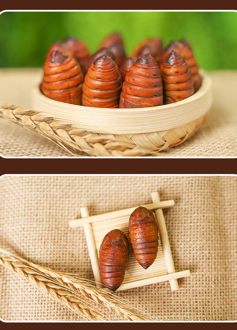 【顺丰配送】周力天 新鲜活蚕蛹 东北辽宁特产柞蛹 黄黑茧蛹知了 黄蛹