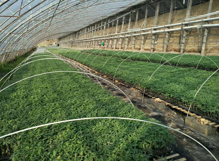 玻璃纤维棒拱竿小拱棚大棚支架菜地拱杆多肉植物育苗棚实心骨架4mm粗