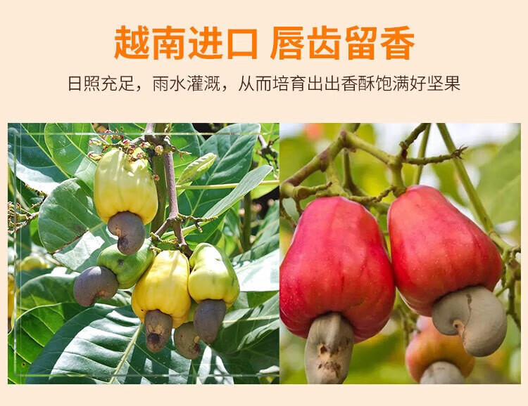 味滋源 每日坚果 坚果礼盒零食干果开坚果瓜子焦糖送礼500g心果核桃仁腰果送礼 焦糖瓜子 500g/袋 1份详情图片157