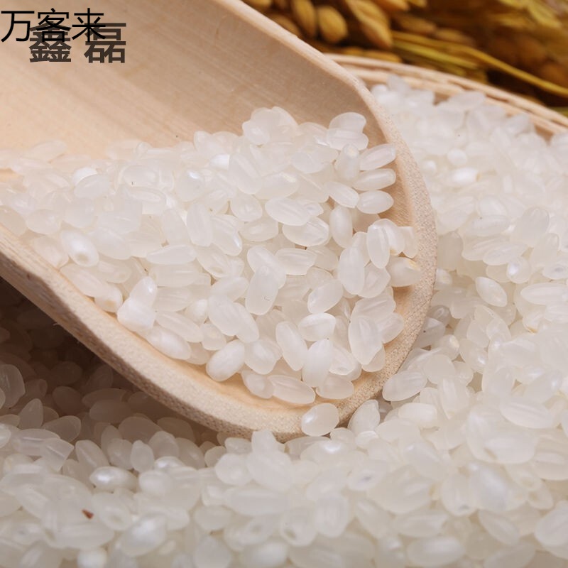 东北大米10斤斤50斤珍珠米辽宁特产大米新米10kg东北辽星米10斤
