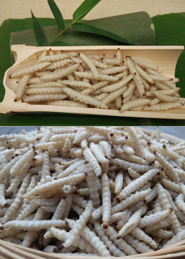 伟博精选新鲜速冻竹节虫竹虫竹蛆小竹虫无冰衣无裹冰干冻全国 500克