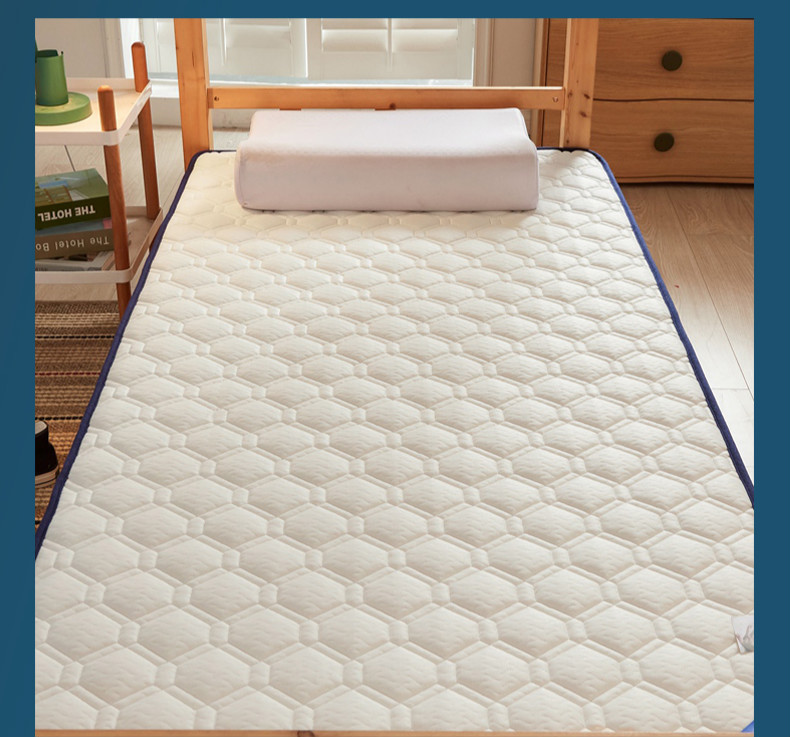乳胶床垫软垫子学生宿舍单人租房专用学生榻榻米12m家用海绵床褥单边
