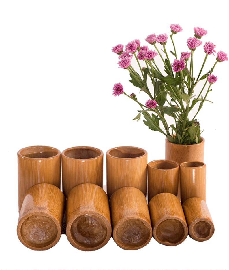 碳化竹罐拔罐中医专用罐火竹筒拔罐竹子罐美容院家用竹罐子套装10罐咖