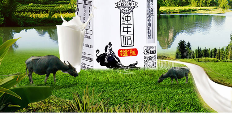 壮牛水牛奶纯牛奶整箱装成人学生早餐奶zq125ml5盒散装