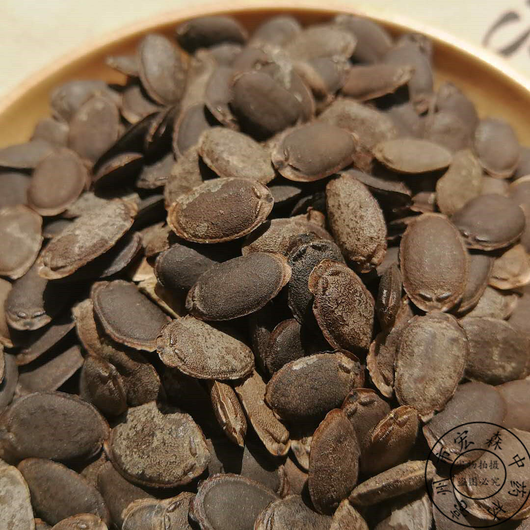 伟博丝瓜子中材生丝瓜籽500克乌牛子用丝瓜子新货 500【图片 价格