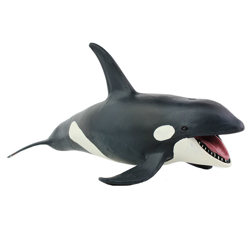 适用于仿真海洋生物虎鲸模型鲸鱼动物玩具实心塑胶儿童男孩科教认知