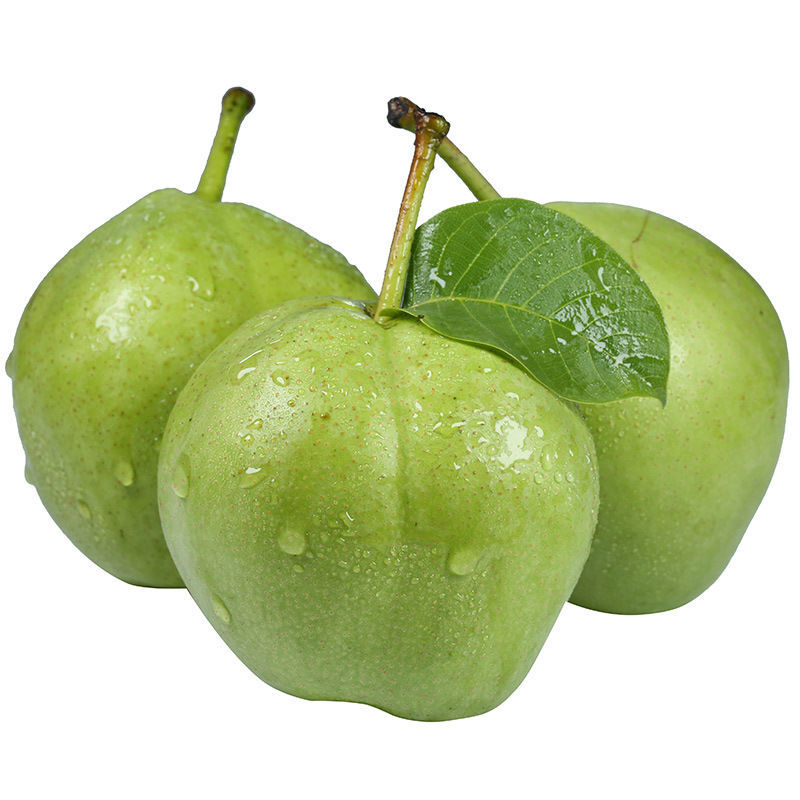 梨子新鲜水果当季应季酥梨 梨子5斤