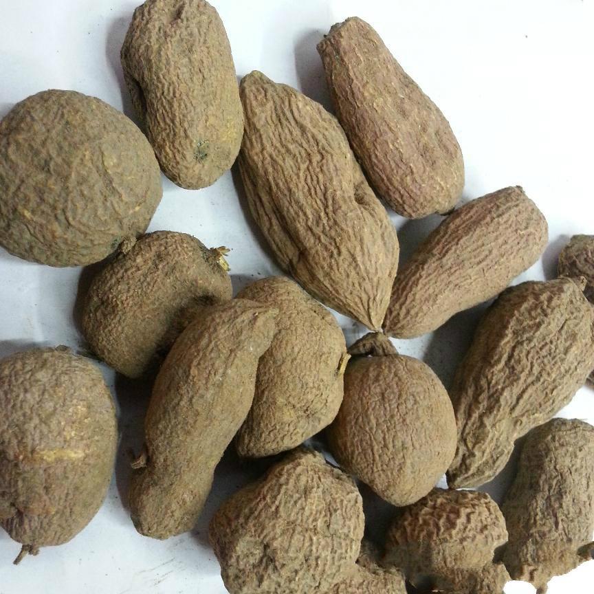 地苦胆 材金果榄九牛胆 九莲子 青鱼胆 九龙胆 500克(金丝皇菊一袋)