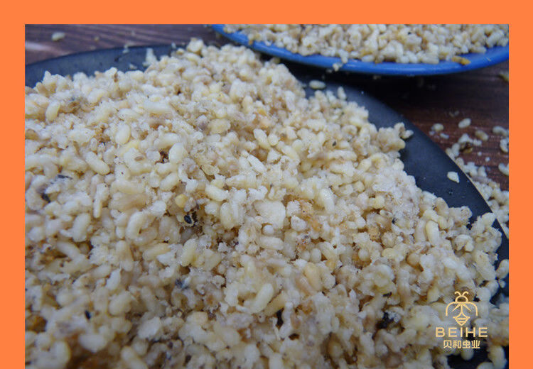 花初醒蚂蚁蛋新鲜蚂蚁卵大黑蚂蚁籽高蛋白食用昆虫贝和虫业花初醒伟博