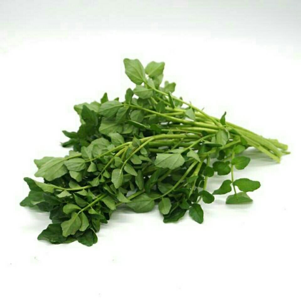 西洋菜贵州新鲜豆瓣菜水芹菜蔬菜基地直供绿色山泉水种植3斤西洋菜