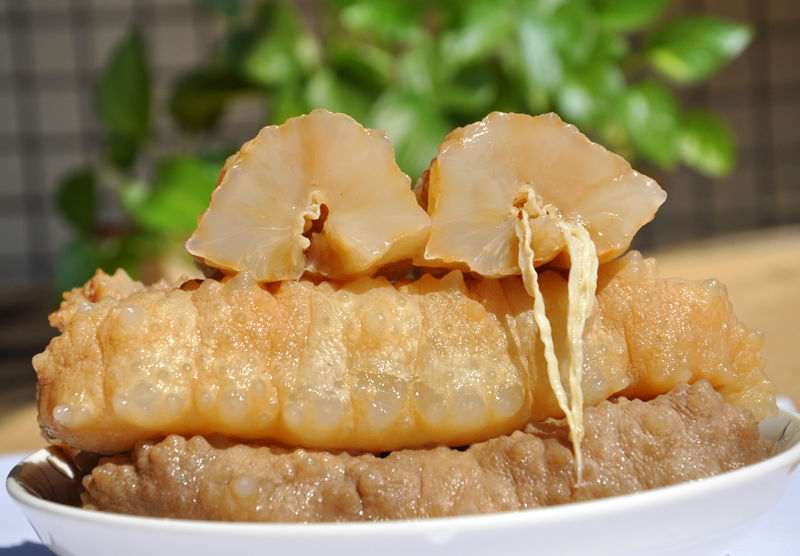 伟博黄玉参澳洲海参进口野生海参淡干货深海海参非即食大连辽参100克