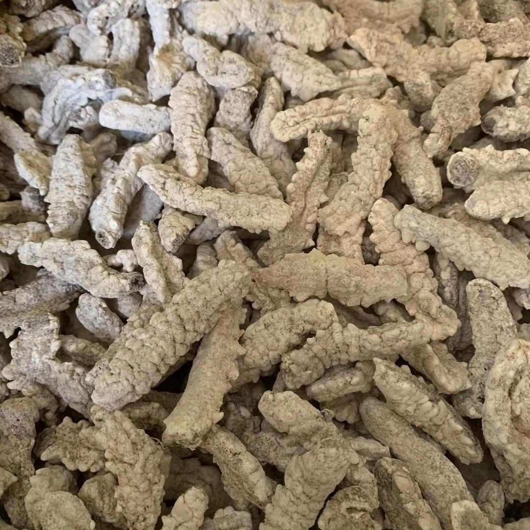 伟博黄玉参海参干货印尼黄肉参仔小黄玉参酒店食材用料非即吃辽参100g