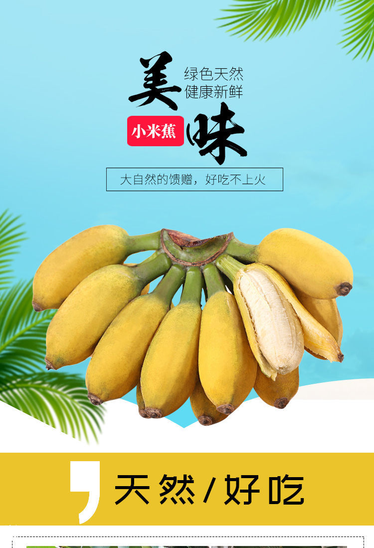 香蕉小米蕉批发整箱正宗广西粉蕉10斤薄皮非海南广东熟芭蕉2斤5斤正宗