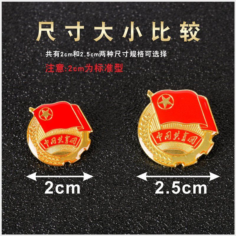 新版标准型团徽中国共青团高档款团员徽章团徽学生别针式磁扣胸章