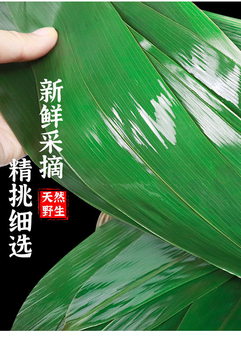 精选直发粽叶家用天然野生大号粽子叶新鲜商用端午包粽子箬叶真空批发