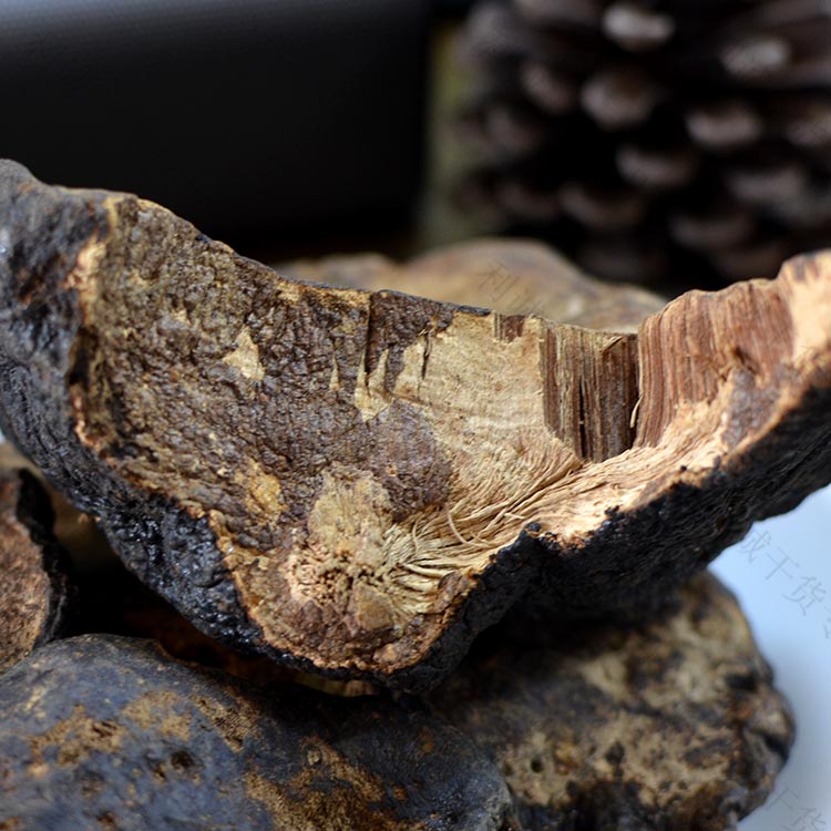 精选中号海南野生薄树芝500g薄盖灵芝薄树层孔菌黑灵芝可切片